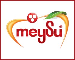 Meysu